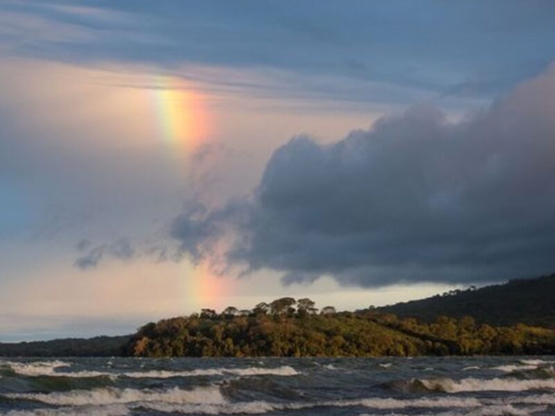 ‘Op zoek naar het land van de regenboog’ Bert Voorhoeve